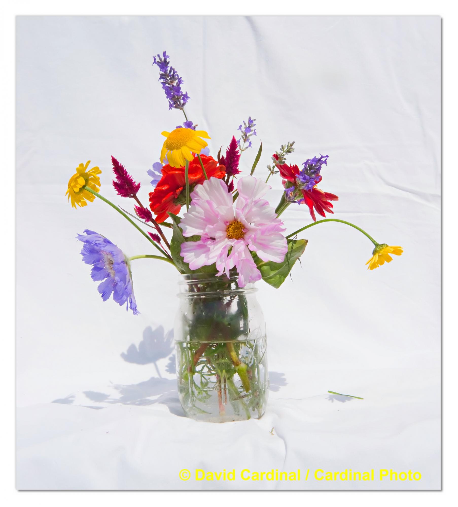 flowers arrangements