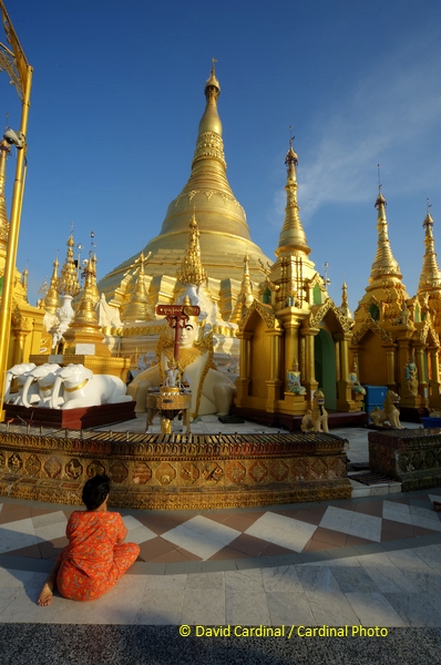 Worshipper at the Shwedagon, Yangon (Rangoon), Myanmar (Burma)